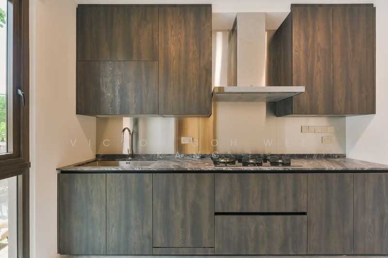 Shrewsbury Road, Shrewsbury Road, 6 Bedrooms, 6,062 sqft, Terraced House For Sale, by Victor Goh Wee Kang, 500126613 - Kitchen - PropertyGuru.com.sg