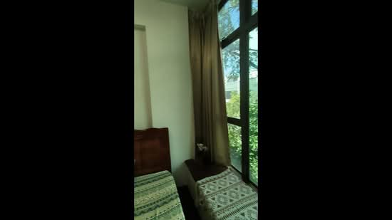 The Carpmaelina, 48 Carpmael Road, Room Rental, 200 sqft, Condominium For Rent, by Alan Huy, 500126744 - PropertyGuru.com.sg