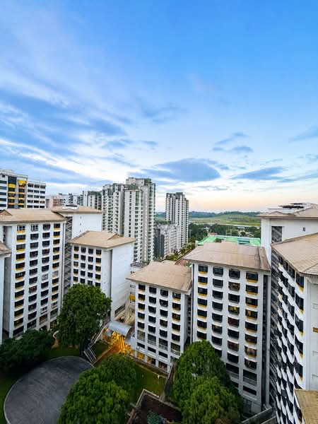 633 Choa Chu Kang North 6, 633 Choa Chu Kang North 6, 4 Bedrooms, 1,367 sqft, HDB Flat For Sale, by Alvin Tyh, 500127350 - Exterior - PropertyGuru.com.sg