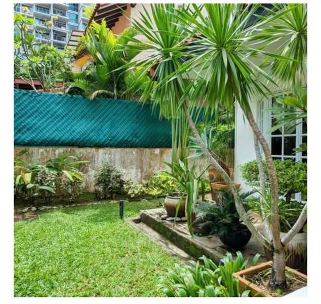 Clydescove, Loyang Place, 4 Bedrooms, 3,236 sqft, Semi-Detached House For Rent, by Lisa Tan, 500127609 - Garden - PropertyGuru.com.sg