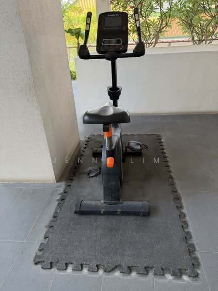Neem Tree, 30 Jalan Kemaman, 1 Bedroom, 453 sqft, Apartment For Rent, by Jenny Lim, 500127680 - Gym - PropertyGuru.com.sg