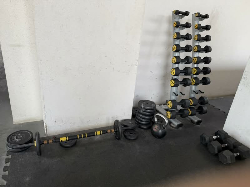 Neem Tree, 30 Jalan Kemaman, 1 Bedroom, 453 sqft, Apartment For Rent, by Jenny Lim, 500127680 - Gym - PropertyGuru.com.sg