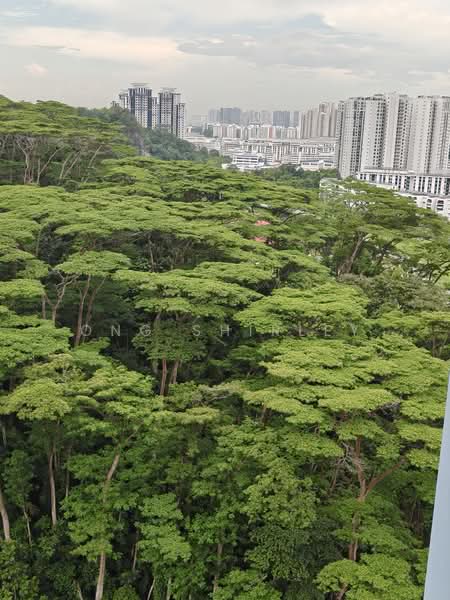 383 Bukit Batok West Avenue 5, 383 Bukit Batok West Avenue 5, 3 Bedrooms, 968 sqft, HDB Flat For Sale, by Ong Shirley, 500127728 - PropertyGuru.com.sg