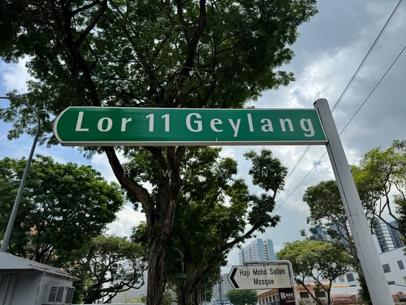 32 LORONG 11 GEYLANG, GEYLANG LORONG 11, 4,154 sqft, Land with Building / En-bloc For Sale, by Shawn Wang, 500127914 - CommercialGuru.com.sg