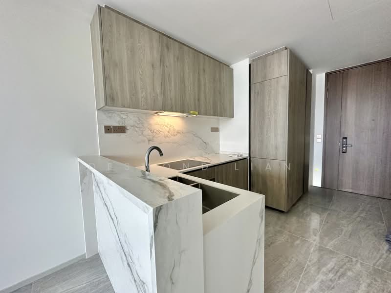 Leedon Green, 26 Leedon Heights, 2 Bedrooms, 710 sqft, Condominium For Sale, by Desmond Lian, 500128024 - Kitchen - PropertyGuru.com.sg