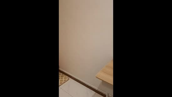 Dunman View, 100 Haig Road, Room Rental, 40 sqft, Condominium For Rent, by Darren Zhang, 500128032 - PropertyGuru.com.sg