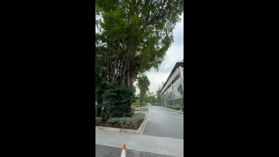 Tan Chong Motor Centre, 911-913 Bukit Timah Road, 36,009 sqft, Office For Rent, by Joey Ke Liqin, 500128133 - CommercialGuru.com.sg