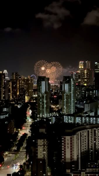 Alex Residences, 28 Alexandra View, 2 Bedrooms, 678 sqft, Apartment For Rent, by Jin Yan, 500128310 - Exterior - PropertyGuru.com.sg