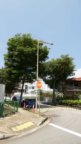 PEAKVILLE ESTATE, , 6 Bedrooms, 3,275 sqft, Corner Terrace For Sale, by Hashim Bahashwan, 500128477 - Corner Terrace - PropertyGuru.com.sg