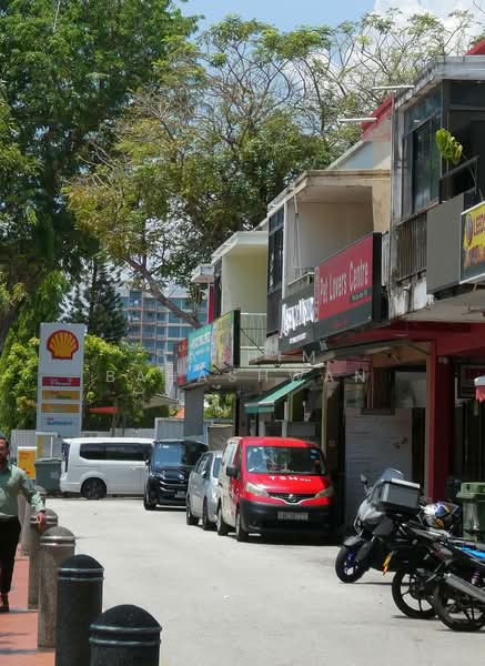 PEAKVILLE ESTATE, , 6 Bedrooms, 3,275 sqft, Corner Terrace For Sale, by Hashim Bahashwan, 500128477 - Amenities - PropertyGuru.com.sg