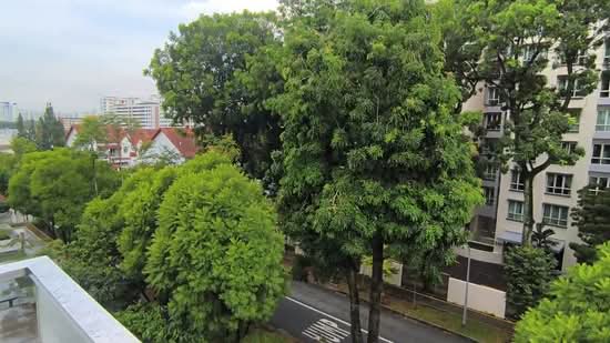 The Woods, Westwood Avenue, 5 Bedrooms, 4,564 sqft, Corner Terrace For Sale, by Danny Goh Tok Juai, 500128659 - PropertyGuru.com.sg