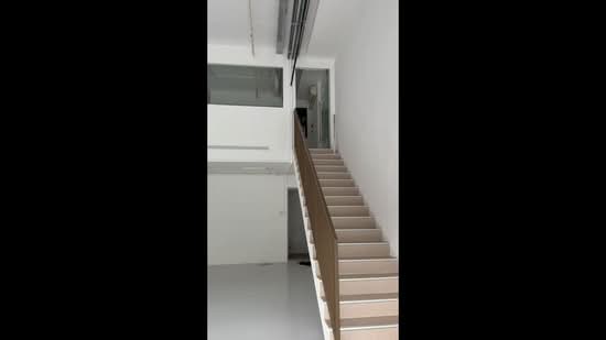 Tag.A, 81 Tagore Lane, 2,454 sqft, Light Industrial (B1) For Rent, by Winnie Aw, 500128662 - CommercialGuru.com.sg