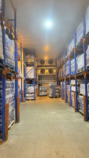 Pan Malayan Warehouse, 163 Ubi Avenue 4, 7,750 sqft, Light Industrial (B1) For Sale, by Rachel Lee, 500128755 - Interior - CommercialGuru.com.sg