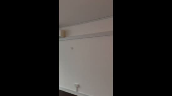 Tag.A, 81 Tagore Lane, 624 sqft, Light Industrial (B1) For Rent, by Winnie Aw, 500128783 - CommercialGuru.com.sg