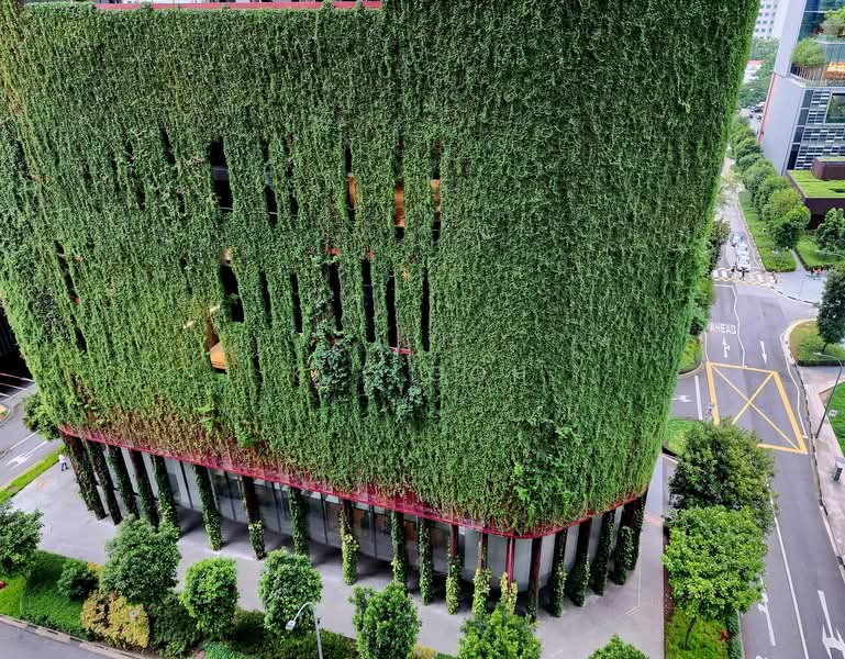 Icon, 10 Gopeng Street, 1 Bedroom, 570 sqft, Apartment For Rent, by K L Goh, 500128786 - Exterior - PropertyGuru.com.sg