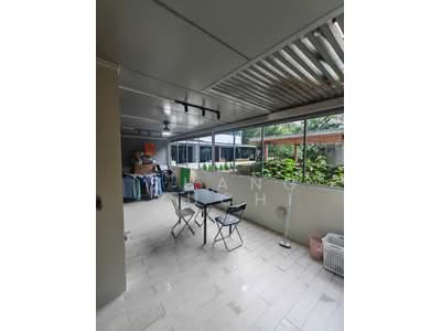 For Sale - Skies Miltonia