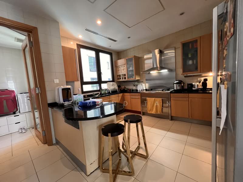 Ardmore Park, 9 Ardmore Park, 4 Bedrooms, 2,885 sqft, Condominium For Rent, by Edmund Tan, 500129199 - Kitchen - PropertyGuru.com.sg