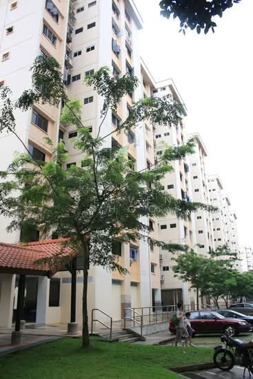 For Rent - 867 Yishun Street 81