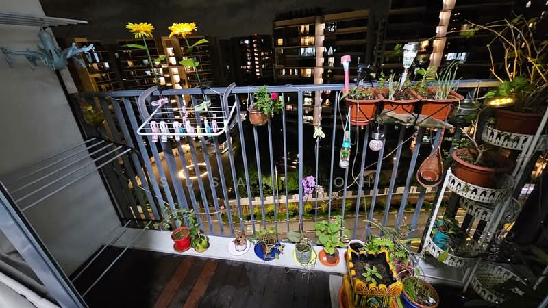 Coco Palms, 21 Pasir Ris Grove, 3 Bedrooms, 904 sqft, Condominium For Rent, by Susan Koh, 500129406 - Balcony - PropertyGuru.com.sg