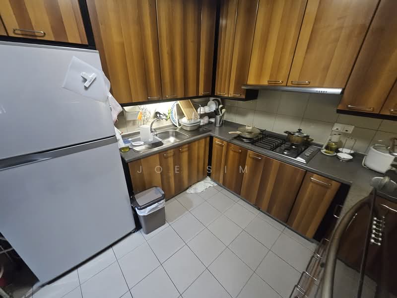 Valley Park, 475 River Valley Road, 3 Bedrooms, 1,700 sqft, Condominium For Rent, by Joe Sim, 500129866 - Kitchen - PropertyGuru.com.sg