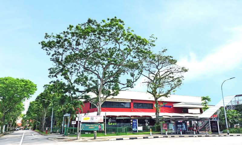 ⭐️Serious Seller⭐️Almost Brand New⭐️Nice Plot⭐️Fiona 国凤 8218☎️5108, Ming Teck Park, Greenleaf Lane, Greenleaf View, Jalan Jelita, Jalan Tenang, Jalan Istimewa, 5 Bedrooms, 6,930 sqft, Semi-Detached House For Sale, by Fiona Yin 国凤, 500130206 - Exterior - PropertyGuru.com.sg