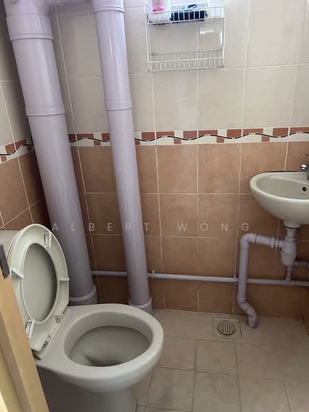 9 Holland Avenue, 9 Holland Avenue, Room Rental, 120 sqft, HDB Flat For Rent, by Albert Wong, 500130259 - Bathroom - PropertyGuru.com.sg