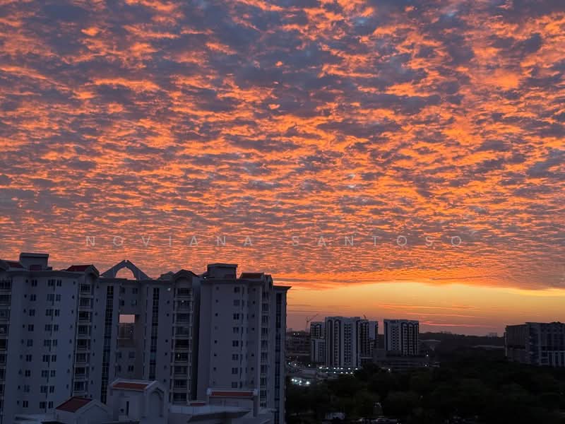 Livia, 69 Pasir Ris Grove, 4 Bedrooms, 1,539 sqft, Condominium For Sale, by Noviana Santoso, 500130466 - PropertyGuru.com.sg
