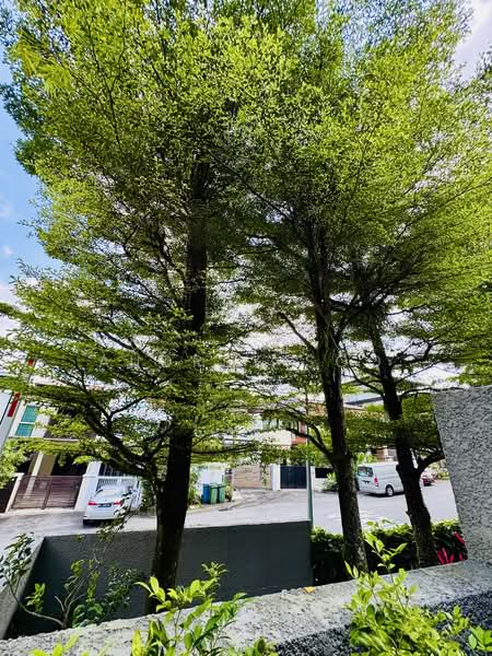 Exclusive Quiet Living Corner Terrace with Lift @ Watten Residences, Watten Rise / Watten Drive / Watten Estate / Watten House / Hillcrest, 5 Bedrooms, 4,940 sqft, Cluster House For Sale, by Audrey Soo, 500130579 - Lush greenery, serene unblocked  - PropertyGuru.com.sg