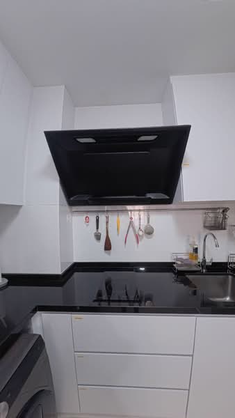Sycamore Tree, 2 Fowlie Road, 2 Bedrooms, 484 sqft, Apartment For Sale, by Ronald Chye, 500130707 - Kitchen - PropertyGuru.com.sg