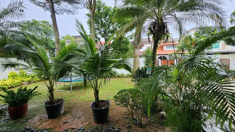 DESIRABLE ⭐️ PRINCESS OF WALES DETACHED ⭐️ POOL /PARK 4 / NYPS ☎️ PAMELA 90228600, DUCHESS ROAD/ PRINCESS OF WALES/ KINGSMEAD/ KING'S RD, 5 Bedrooms, 4,000 sqft, Detached House For Sale, by Pamela Chong, 500131141 - Garden - PropertyGuru.com.sg