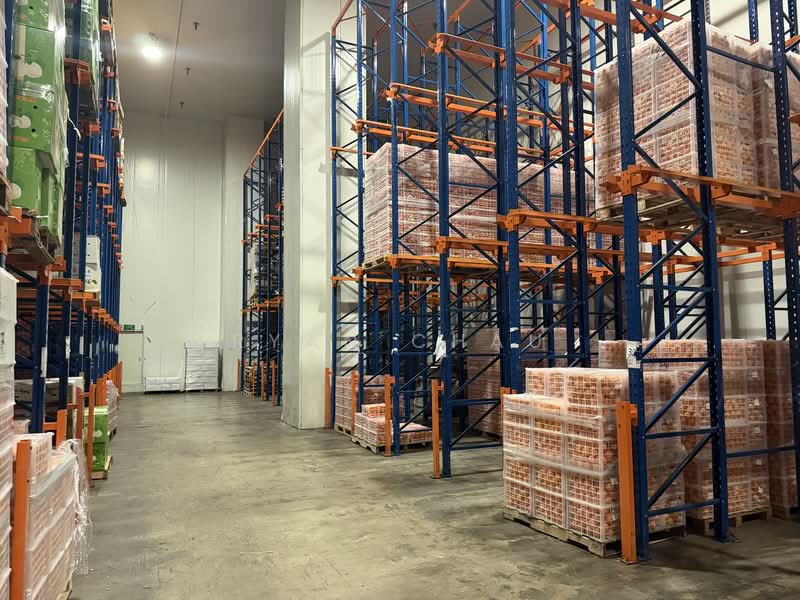Chiller | 11m Clear | 2 Bays | Food Zone @ Jurong, Jurong, 6,300 sqft, Warehouse For Rent, by Ryan Chau, 500131324 - Interior - CommercialGuru.com.sg