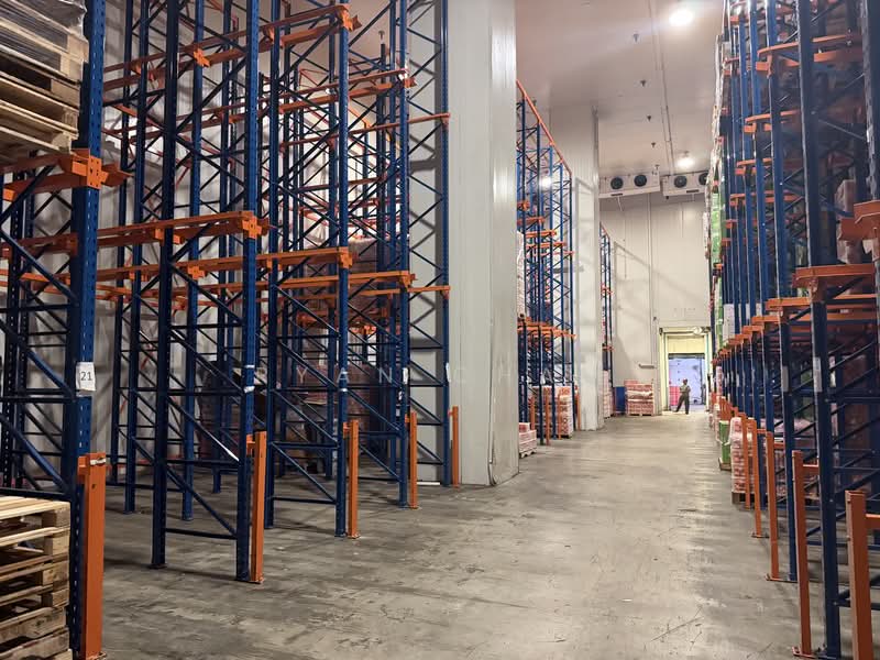 Chiller | 11m Clear | 2 Bays | Food Zone @ Jurong, Jurong, 6,300 sqft, Warehouse For Rent, by Ryan Chau, 500131324 - Interior - CommercialGuru.com.sg