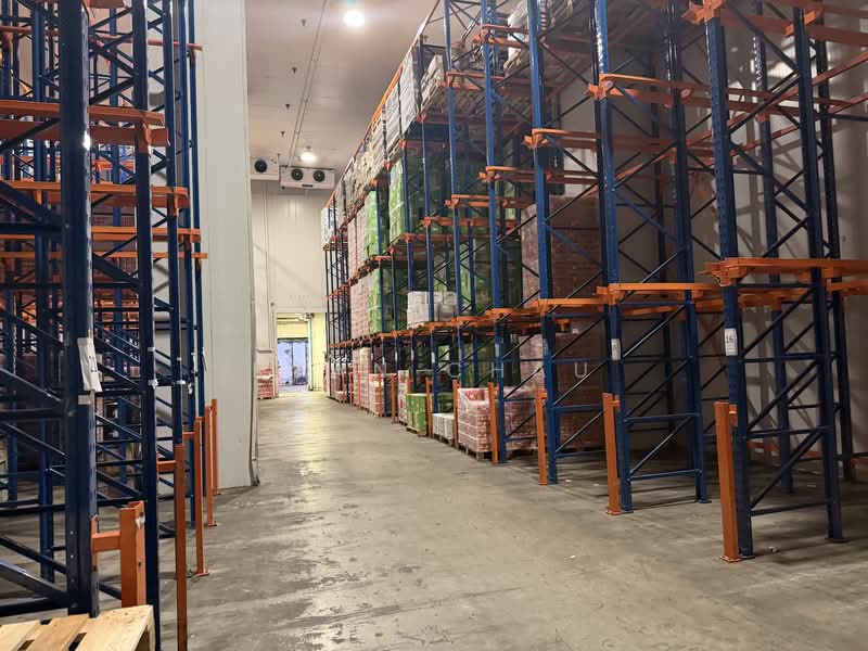 Chiller | 11m Clear | 2 Bays | Food Zone @ Jurong, Jurong, 6,300 sqft, Warehouse For Rent, by Ryan Chau, 500131324 - Interior - CommercialGuru.com.sg