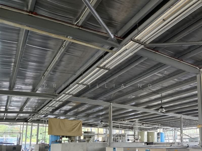 Bank Sales - Agriculture Sungei Tengah Rd, , 221,609 sqft, Factory / Workshop (B2) For Sale, by Priscillia Ng, 500131730 - Interior - CommercialGuru.com.sg