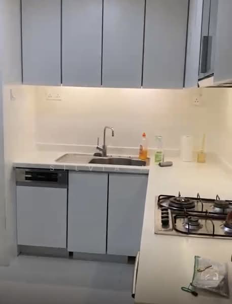 The Cathay Residences, 30 Mount Sophia, 2 Bedrooms, 878 sqft, Apartment For Rent, by Silvia Ang, 500131914 - Kitchen - PropertyGuru.com.sg