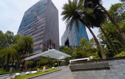 For Rent - Orchard Scotts