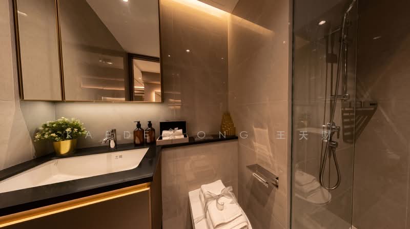 Chuan Park, 240 Lorong Chuan, 2 Bedrooms, 743 sqft, Condominium For Sale, by Kaeden Ong 王天财, 500132286 - Bathroom - PropertyGuru.com.sg