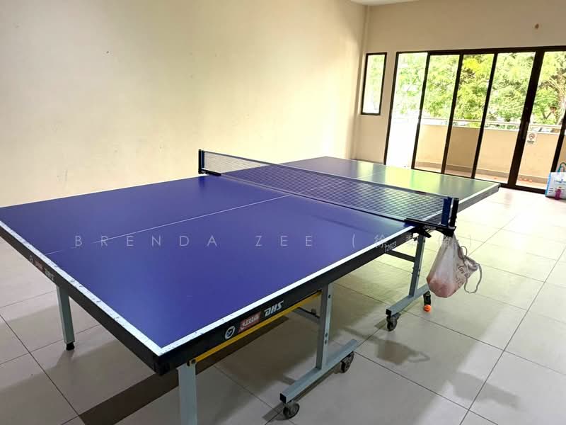 Table Tennis Room