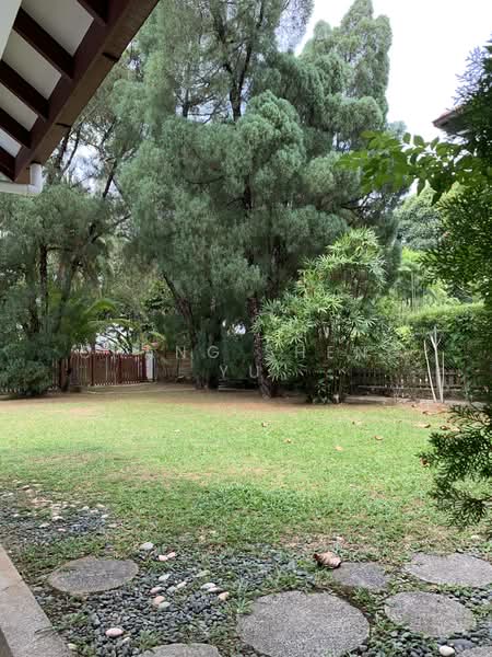446 Holland Road, , 6 Bedrooms, 4,500 sqft, Detached House For Sale, by Chang Sheng Yu, 500132875 - Garden - PropertyGuru.com.sg