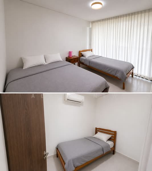 Orchid Park Condominium, 95 Yishun Street 81, Room Rental, 180 sqft, Condominium For Rent, by Albert New, 500133036 - Bedroom - PropertyGuru.com.sg