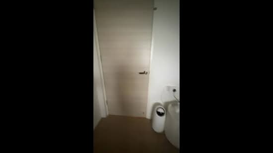 401 Bedok North Avenue 3, 401 Bedok North Avenue 3, Room Rental, 130 sqft, HDB Flat For Rent, by Peter Hung 洪嘉俊, 500133305 - PropertyGuru.com.sg