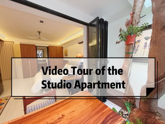 Newly Renovated Studio with indoor tree courtyard, , Studio, 350 sqft, Terraced House For Rent, by COZING CO-LIVING, 500133470 - PropertyGuru.com.sg