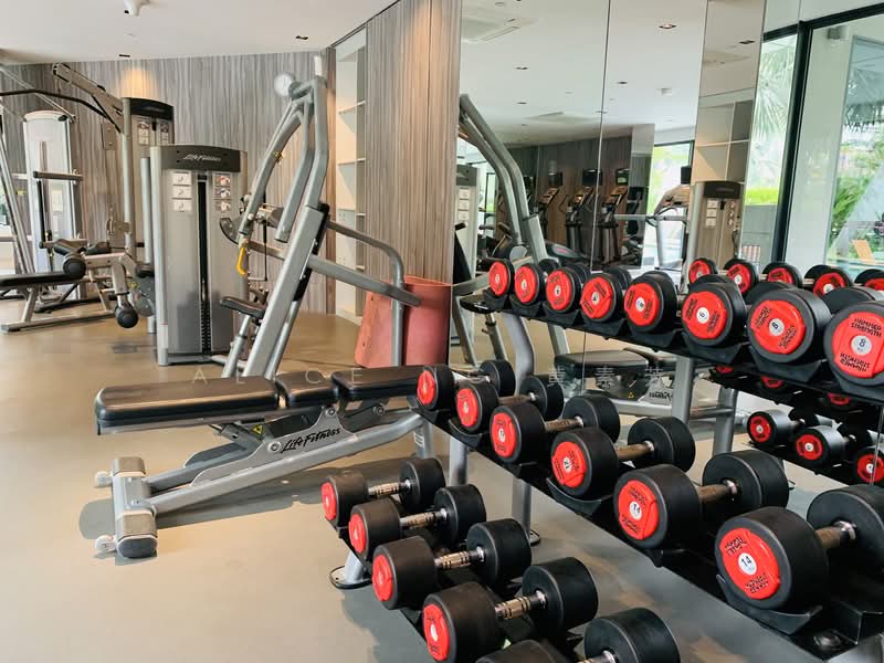 Sky Vue, 1 Bishan Street 15, 1 Bedroom, 484 sqft, Condominium For Sale, by Alice Ng 黄素芳, 500133537 - Gym - PropertyGuru.com.sg