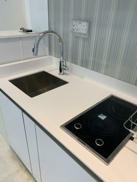 Suites @ Newton, 1 Surrey Road, 1 Bedroom, 484 sqft, Apartment For Rent, by Joyce Tan, 500133818 - Kitchen - PropertyGuru.com.sg