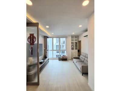 For Sale - The Morning Glory