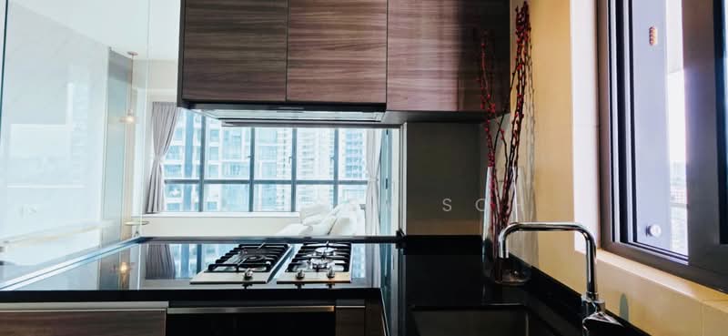 8 Saint Thomas, 8 Saint Thomas Walk, 4 Bedrooms, 1,690 sqft, Condominium For Sale, by Marissa Soh, 500134053 - Kitchen - PropertyGuru.com.sg