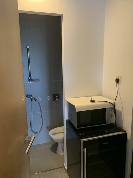 Newton Suites, 60 Newton Road, 3 Bedrooms, 1,238 sqft, Apartment For Sale, by Chloe Chang, 500134375 - Bathroom - PropertyGuru.com.sg