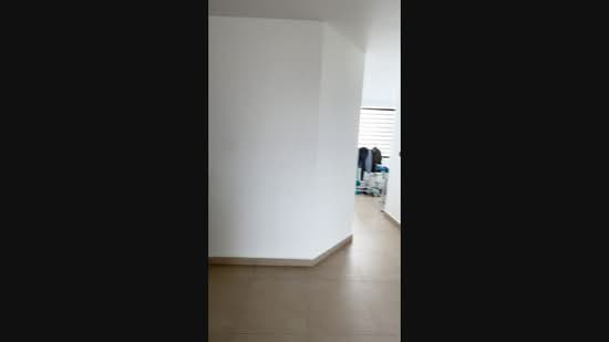 Astrid Meadows, 48 Coronation Road West, 4 Bedrooms, 3,800 sqft, Condominium For Rent, by Yang (Young) Li, 500134415 - PropertyGuru.com.sg