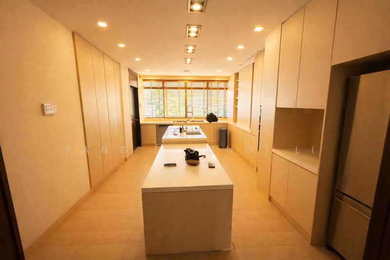 Astrid Meadows, 48 Coronation Road West, 4 Bedrooms, 3,800 sqft, Condominium For Rent, by Yang (Young) Li, 500134415 - Kitchen - PropertyGuru.com.sg