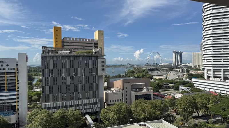 17 Beach Road, 17 Beach Road, 3 Bedrooms, 829 sqft, HDB Flat For Sale, by Charles Ng 吳忠发, 500134551 - Exterior - PropertyGuru.com.sg